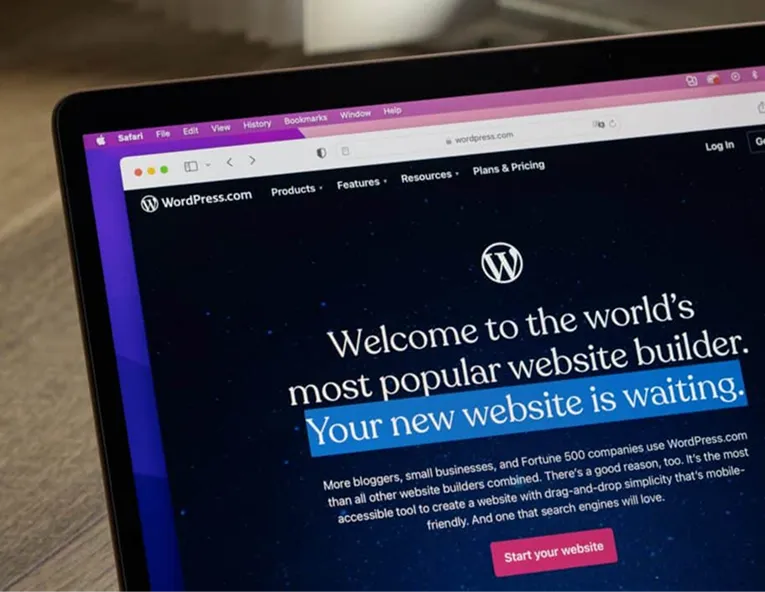 WordPress Website Designers in Minnesota